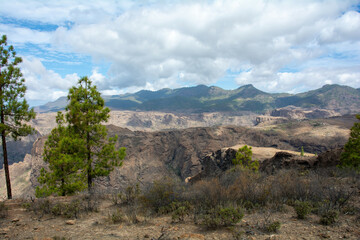 Panoramic view of the  mountains on the island of Gran Ganaria with pine trees - 783300908