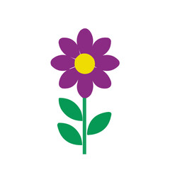 flower isolated on white background