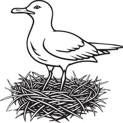 Seagull coloring pages. Seagull outline vector for coloring book