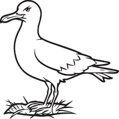 Seagull coloring pages. Seagull outline vector for coloring book