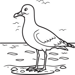 Seagull coloring pages. Seagull outline vector for coloring book