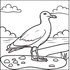 Seagull coloring pages. Seagull outline vector for coloring book