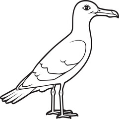 Seagull coloring pages. Seagull outline vector for coloring book