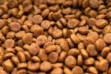 Food for animals background. Dry cat and dog food texture, pattern. Pet meal background close up. Dry food for pet dogs and cats. Dried pet food top view. Granules of good nutrition for dogs and cats.