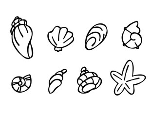 Set of seashells in doodle style, black outline sketch isolated elements on white background for design template. Ocean flora. Coloring. Clip art