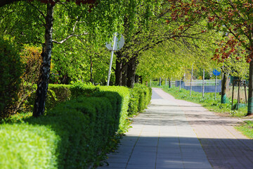 Fototapeta na wymiar A footpath through the green spaces of a housing estate
