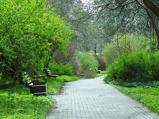 benches in the botanic garden of kaliningrad, russia