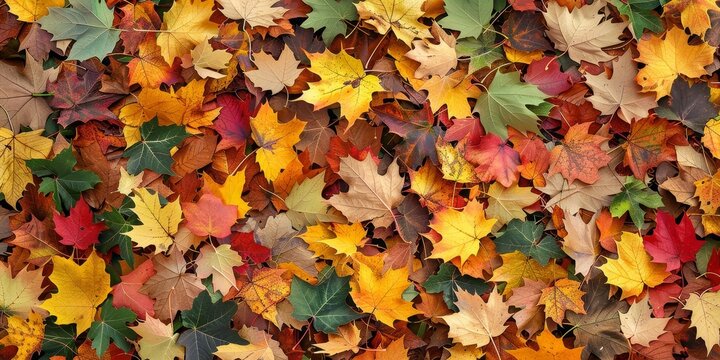 A pile of colorful autumn leaves. The leaves are of different colors, including red, yellow, and green. Concept of warmth and nostalgia, as it captures the beauty of fall
