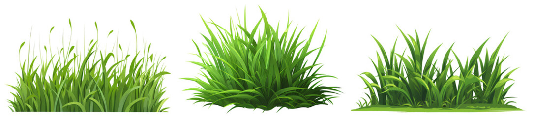 Set of clump of grass isolated on white and transparent background - obrazy, fototapety, plakaty