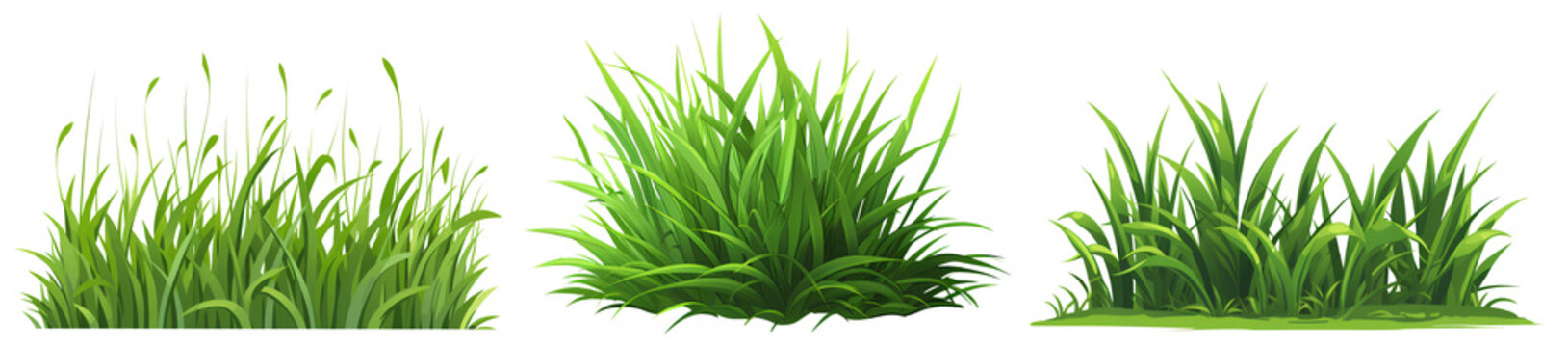 Set of clump of grass isolated on white and transparent background