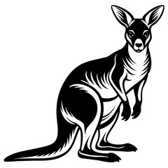 kangaroo-illustration