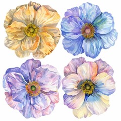 set of watercolor flowers