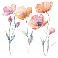 set of watercolor flowers