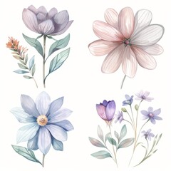Fototapeta na wymiar set of watercolor flowers
