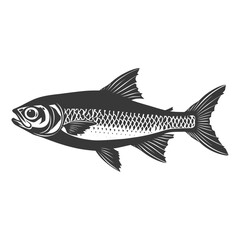 Obraz premium Silhouette sardine fish animal black color only full body