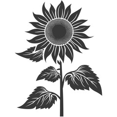 Silhouette sunflower flower black color only vector