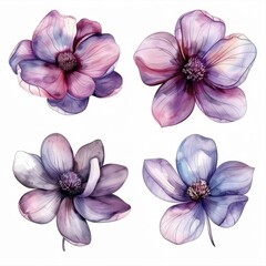 set of watercolor flowers