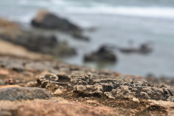 Galle Fort Wall and Beach, Galle, Sri Lanka.