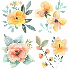 set of watercolor flowers