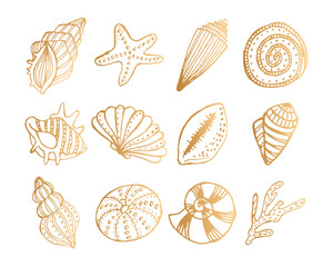 Set of hand-drawn contour seashells in golden tones. Design elements, print, vector