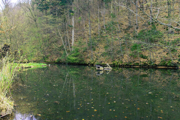 A large pond in the forest captured from ground level. A pond in the forest, water, reflections on the surface. Grass, trees, nature.