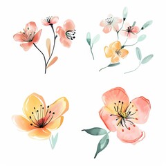 set of watercolor flowers