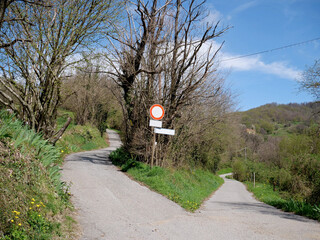 A country road fork with signage in a wooded area