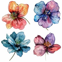 set of watercolor flowers