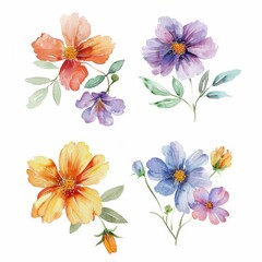 set of watercolor flowers