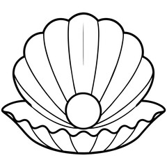 illustration of a seashell