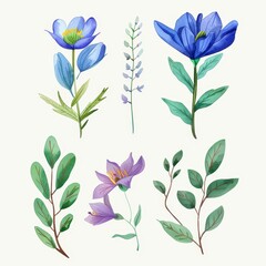 set of watercolor flowers