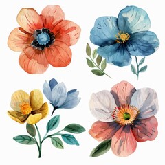 set of watercolor flowers