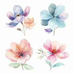set of watercolor flowers