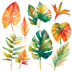 Watercolor hand drawn tropical exotic flowers, branches, leaves set. Vector drawing palm, monstera leaves collection. Isolated painted botanical design on white background. Grunge texture. Elements - 783338786
