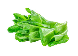 fresh cos lettuce transparent png