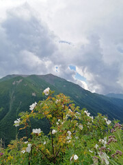 Obraz premium Svaneti