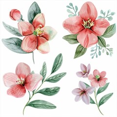 set of watercolor flowers