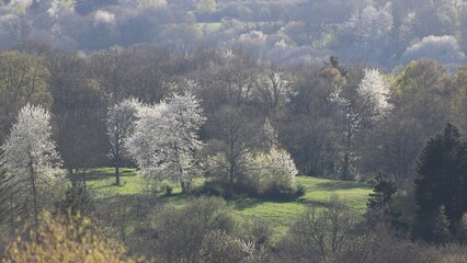 ambiance printemps