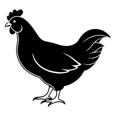 hen and rooster