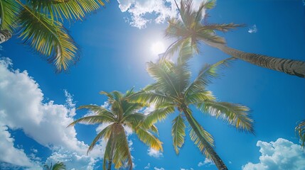 Fototapeta na wymiar Sun-kissed coconut trees against cerulean sky evoke summer bliss,vibrant photography captures the essence of tropical paradise,inspiring wanderlust and relaxation