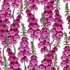 Seamless pattern with foxglove flowers. Vector. - obrazy, fototapety, plakaty