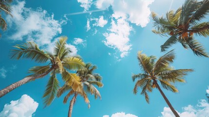 Blue sky and green palm trees convey a tropical paradise, evoking relaxation and tranquility, in a photograph with vivid colors and a warm atmosphere, part of the travel photography collection.