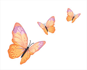 orange butterfly.eps