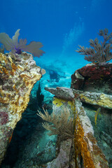Underwater photographer explores the "City of Washington" shipwreck off Key Largo, Florida