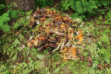 Compost pile in garden close up. Bio waste, vegetables fruits scraps background, texture. Zero waste, composting concept