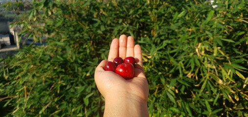 Cherries, bambu, hand, green, red at cdmx, mexico