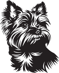 yorkie dog vector silhouette - obrazy, fototapety, plakaty