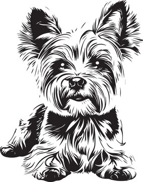 yorkie dog vector silhouette