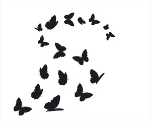 orange butterfly black art.eps