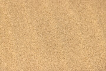 Image taken vertically on a sandy surface in the Namib desert with natural daylight - obrazy, fototapety, plakaty